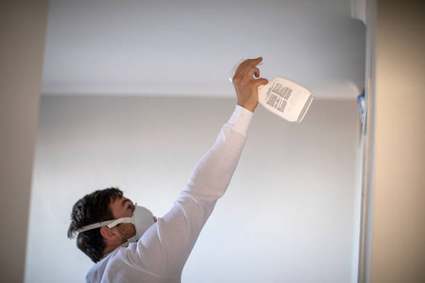 Best Insurance-Related Mold Remediation in Mission, OR