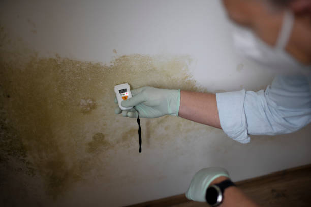 Best Industrial Mold Remediation in Mission, OR