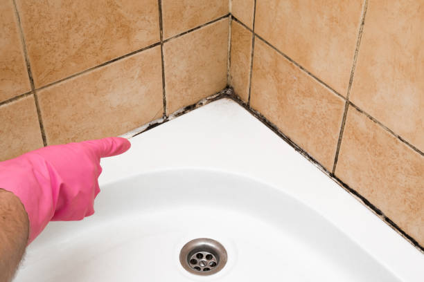 Best Residential Mold Remediation in Mission, OR